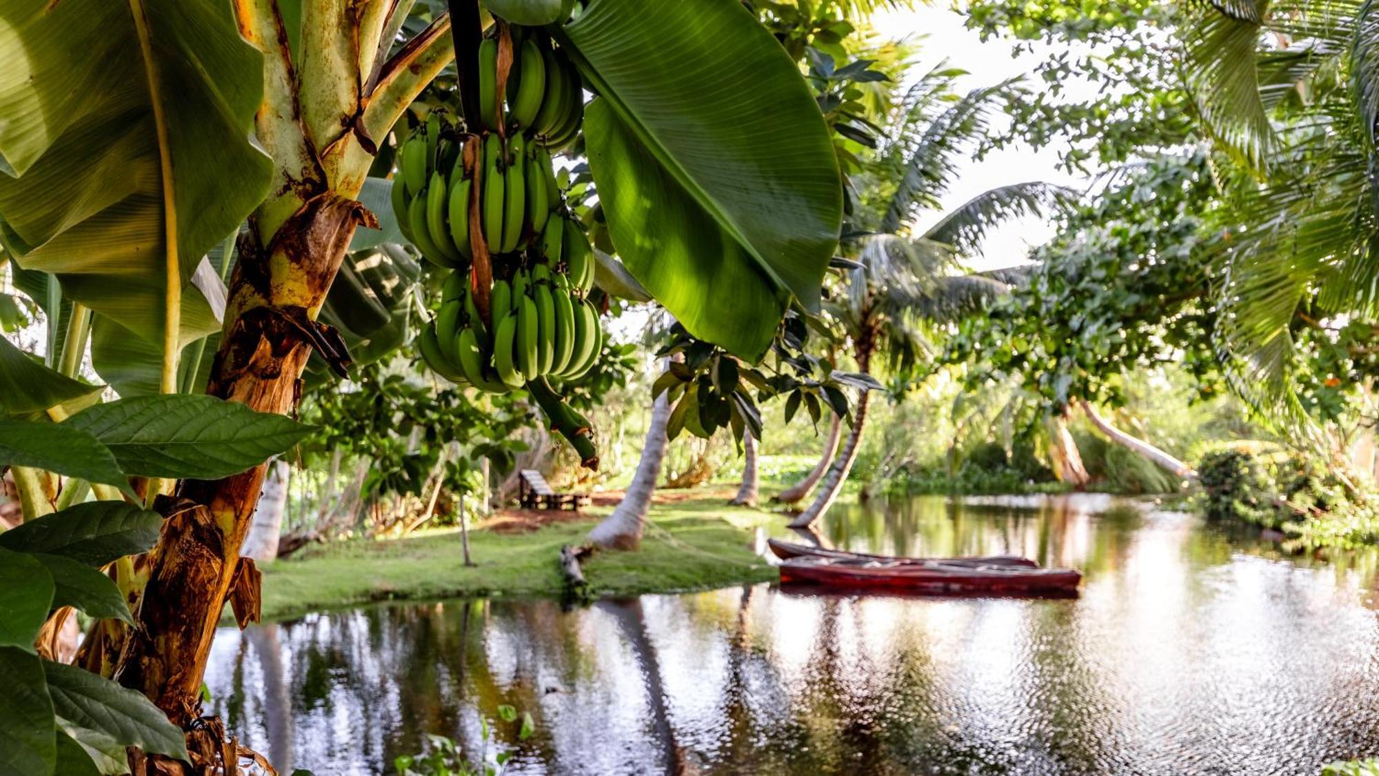 Kibayo Lagoon Villa Cabarete Exterior foto